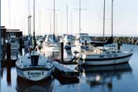 Docked Boats/Edmonds, WA